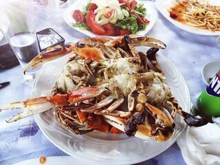 Bar Restaurant Beni Rudho