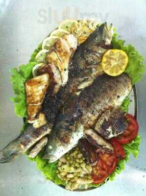 Oborri Shkodran (shkodra Garden)