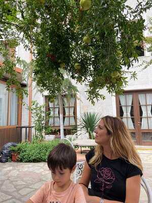 Oborri Shkodran (shkodra Garden)