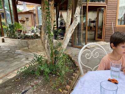 Oborri Shkodran (shkodra Garden)