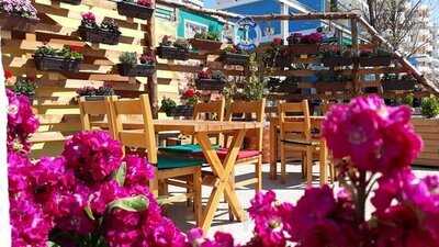 Pizzeri Bar Restorant "anchor"