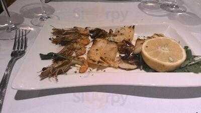 Kalamaro Fritto Tirana