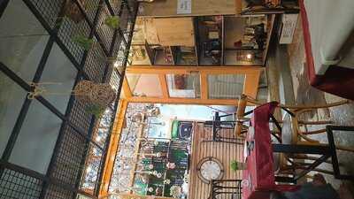 Restorant Tradicional Siar