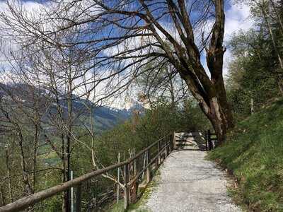 Gasthof Gamskar - Fuchs & Gal Og