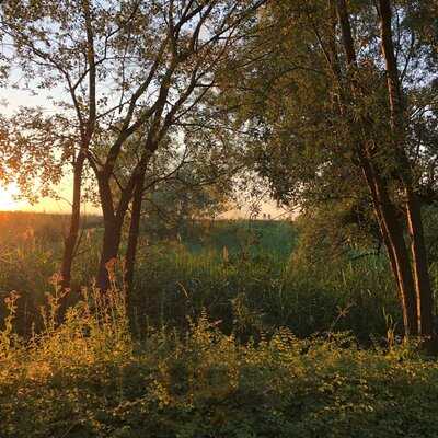 Fischerheim Am Schleienloch
