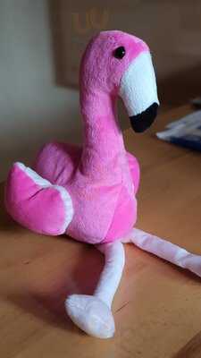 Lazy Flamingo