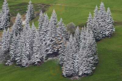 Gasthof "geislerhof"