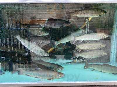 Fischteich In Zug - Fischerstüble