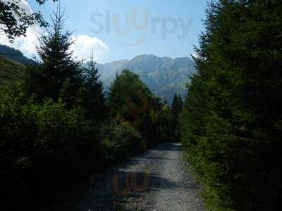 Alpengasthof Plöckenhaus