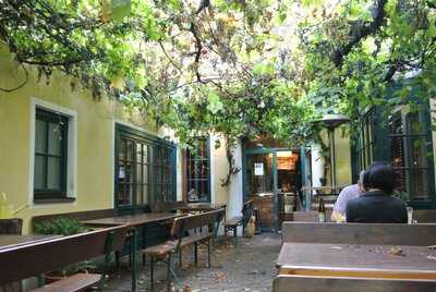 Weinlaube Schwarzer Hund