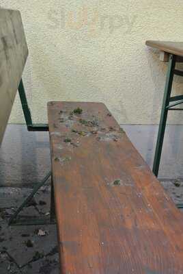 Weinlaube Schwarzer Hund