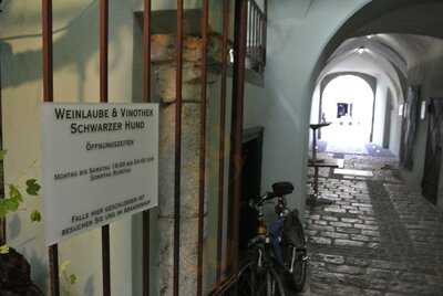 Weinlaube Schwarzer Hund