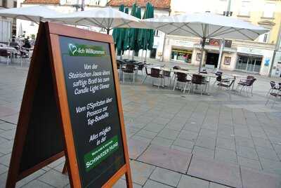 Weinlaube Schwarzer Hund