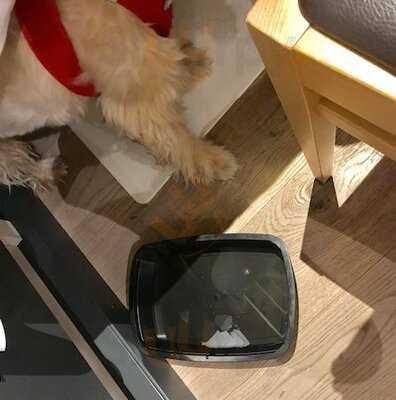 Rosso Di Acqua E Sole