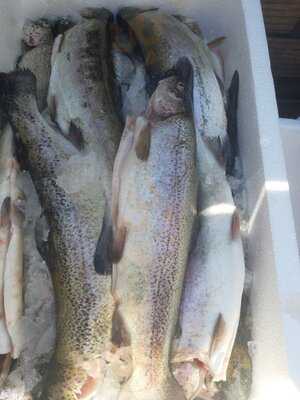 Daniel's Steckerlfisch