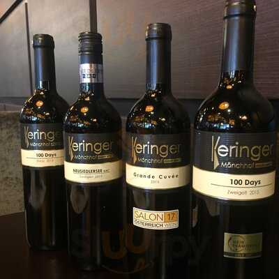 Sajado Wiener Neustadt