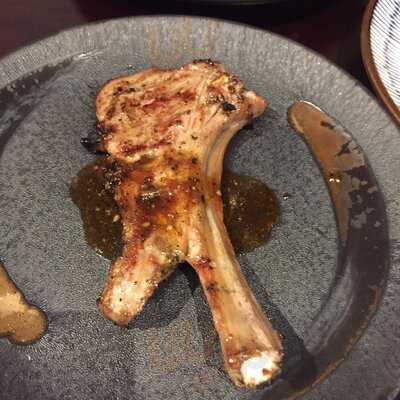 Sajado Wiener Neustadt