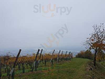 Gasthaus Schwarzalm Krems