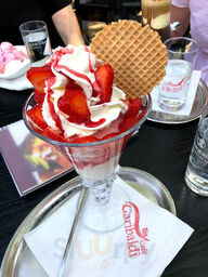 Gelato Di Giannini