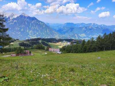 Die Alm