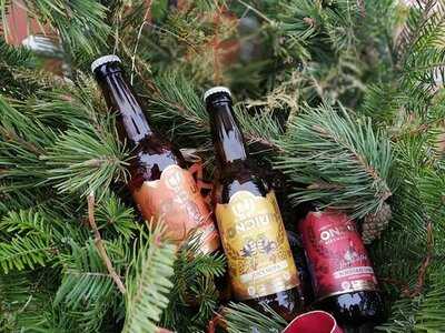 Die Moserei Gastro & Kultur Container