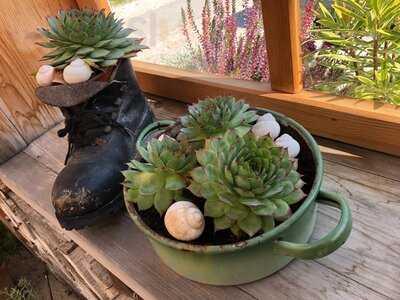 Gasthof Schobermuhle