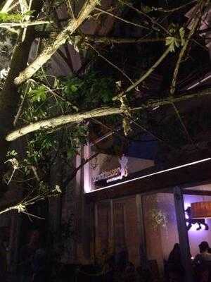 Schrittesser Speck&bar