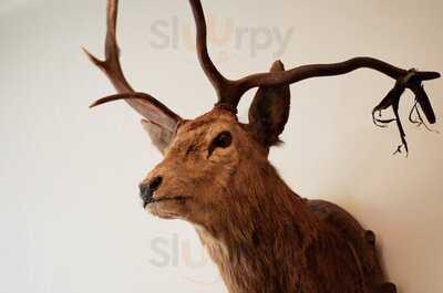 Schrittesser Speck&bar