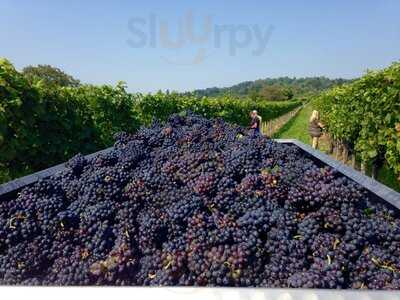 Heuriger Richard Lentner