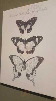 Sopherl Am Naschmarkt