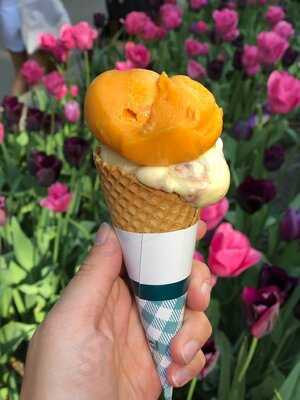 Eis Greissler Wien | Maria Hilf