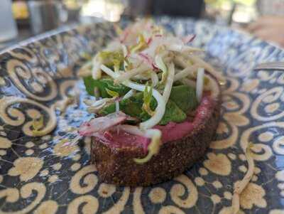 Sperling Im Augarten