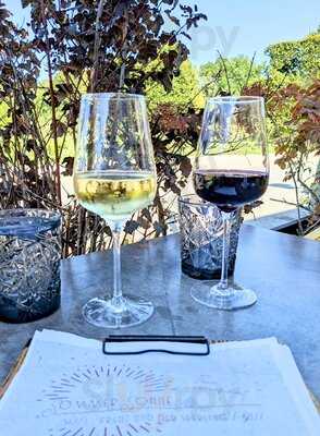 Sperling Im Augarten