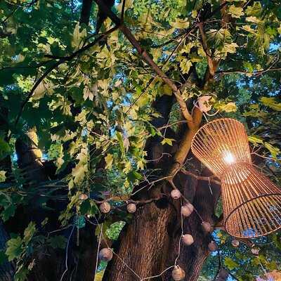 Vicky Christina Linz