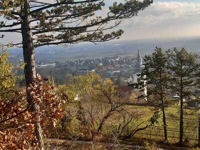 N°3 Salon Kursalon Bad Vöslau