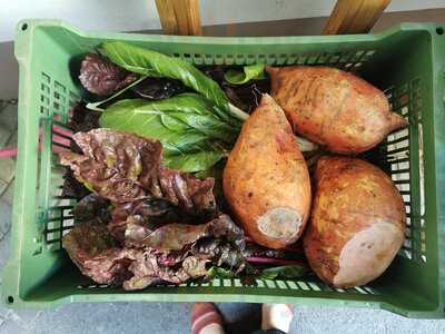 Projekt Heidenspass - Café Und Store