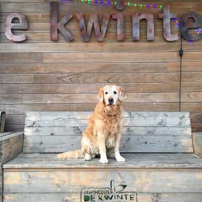 Westend Beachclub De Kwinte