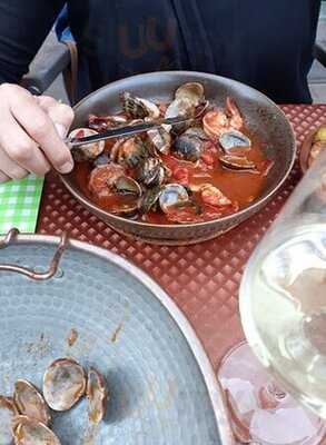 Mosquito Da Beira Baixa