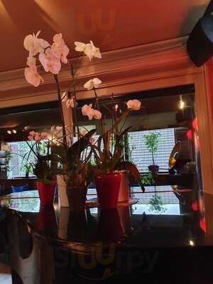 Jane's Wine And Dine