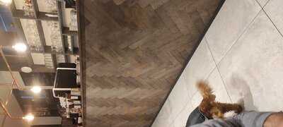 In Choc Gent - Daskalides