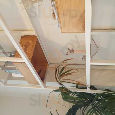 Romain Roquette - The Salad Bar