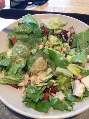 Romain Roquette - The Salad Bar