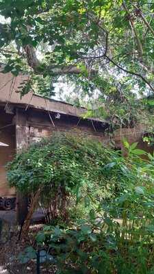 Uit Steppe & Oase Theeten