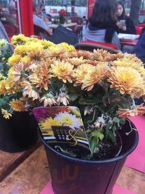 Eetkaffee De Kleine Post