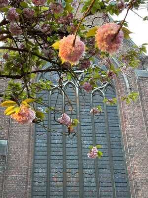 Monasterium Poortackere