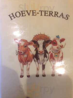 Hoeve Terras