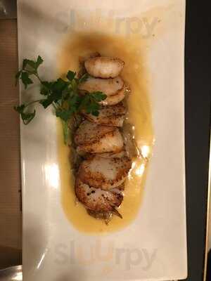 La Branche D'olivier