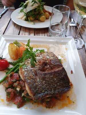 La Branche D'olivier