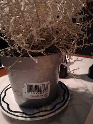 Les Uns Avec Les Hotes