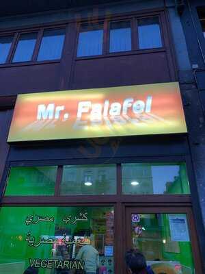 Mr. Falafel